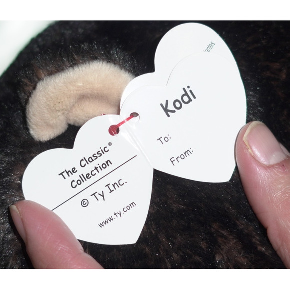 TY Medium Classic Plush KODI Kodiak Black Bear Medium 10" NEW Stuffed Animal Toy - Picture 7 of 16